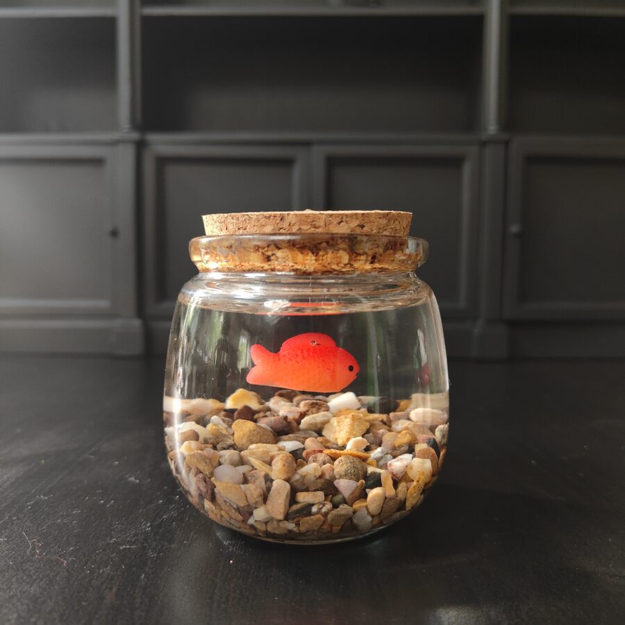 Goldfish Jar