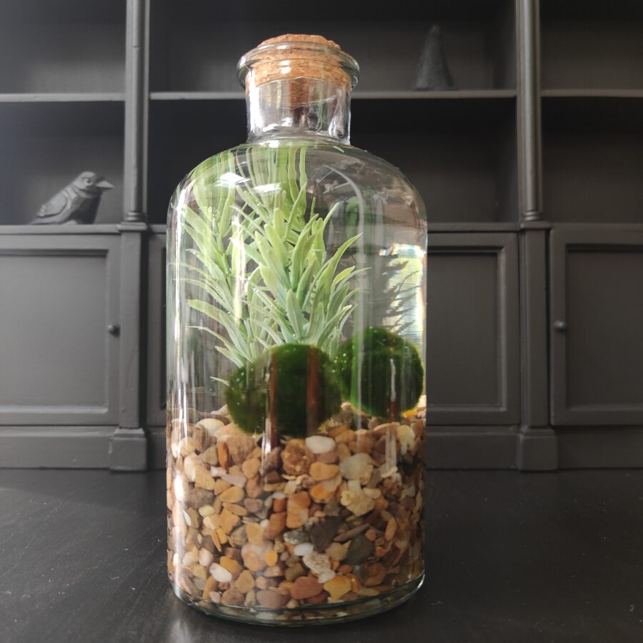 17cm Double Moss Ball Jar