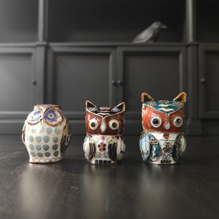 3 Wise Owls