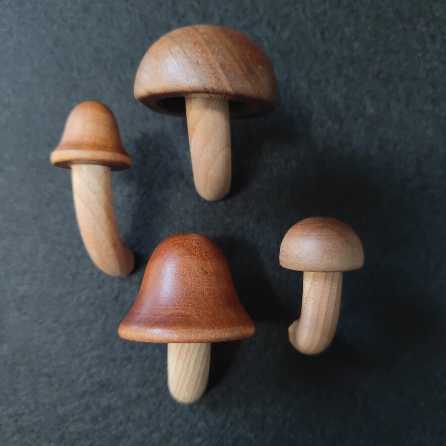 Mushroom Magnets (set of 4)