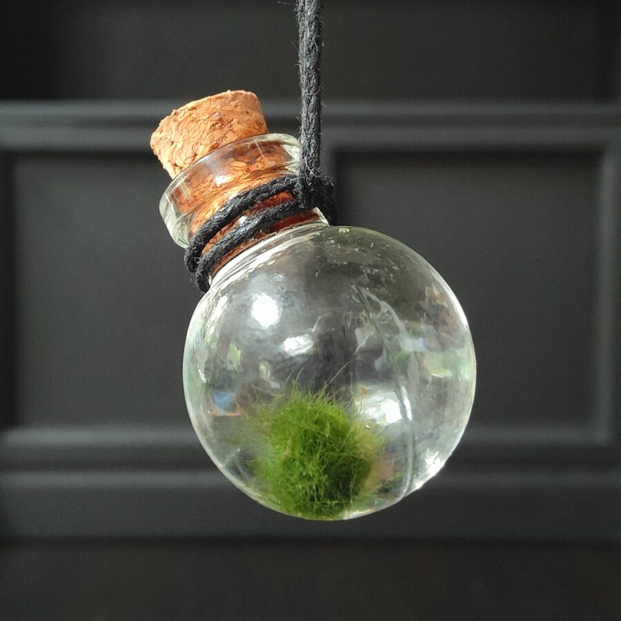 Wearable Moss Ball Globe